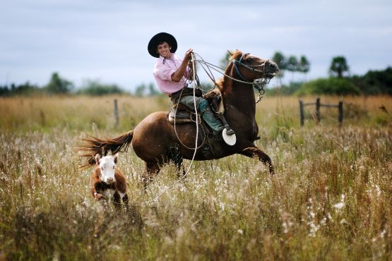 Argentine culture : Gauchos