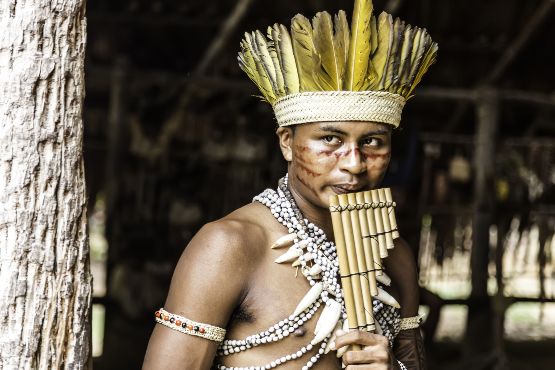 Bresil culture : Amazonie