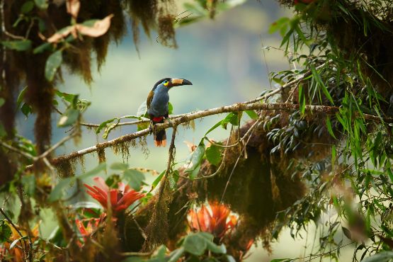 honduras culture : nature