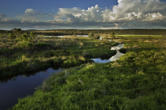 Mozambique - Faune sauvage