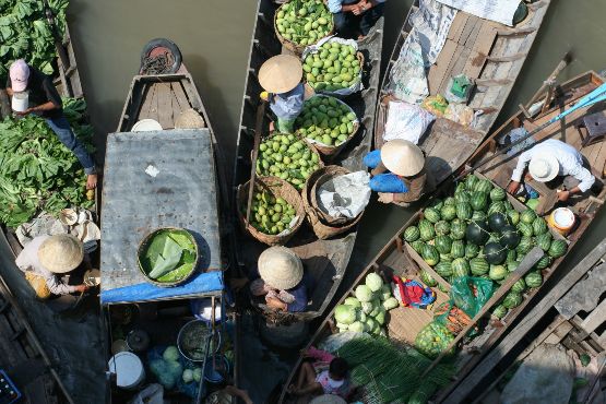 vietnam culture : gastronomie