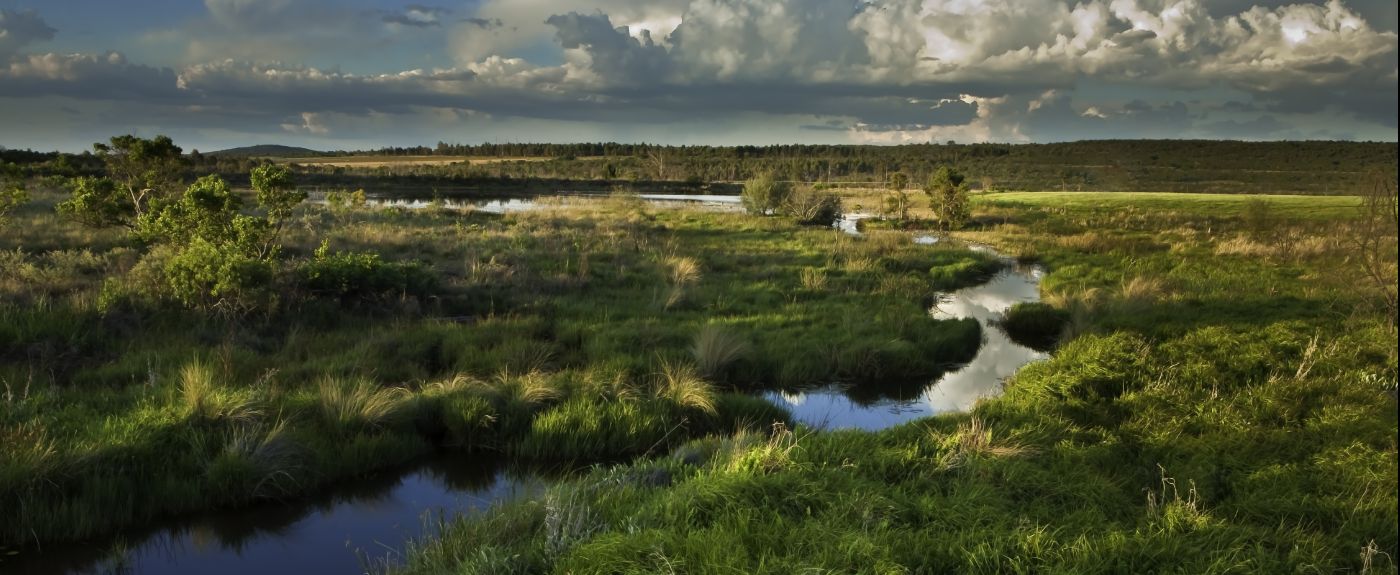 Mozambique - paysage fleuve